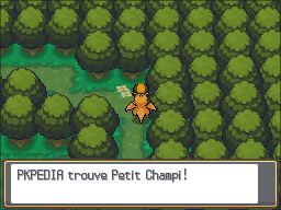 Forêt de Jade Petit Champi 2 HGSS.png