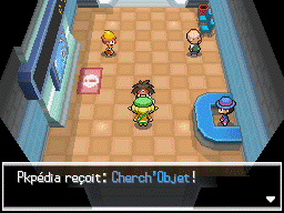 Fichier:Route 4 Cherch'Objet N2B2.png