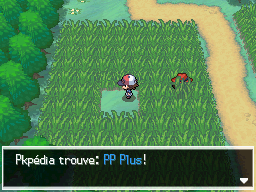 Route 7 PP Plus NB.png