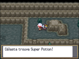 Puits Ramoloss Super Potion HGSS.png