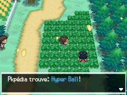 Fichier:Route 1 Hyper Ball N2B2.png