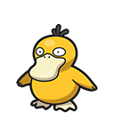 Psykokwak