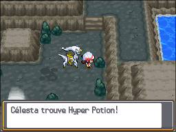 Mont Creuset Hyper Potion 2 HGSS.png