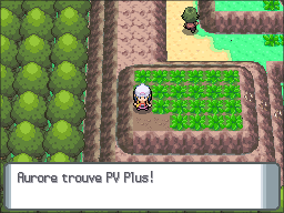 Route 225 PV Plus DP.png