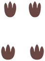 Empreintes 0019 DEPS.png