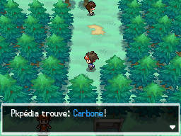 Fichier:Route 2 Carbone N2B2.png