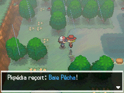 Route 8 Baie Pêcha 1 NB.png