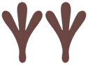 Empreintes 0255 DEPS.png