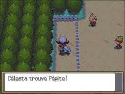 Route 35 Pépite HGSS.png