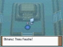 Fichier:Grotte Retour Tissu Fauche Pt.png