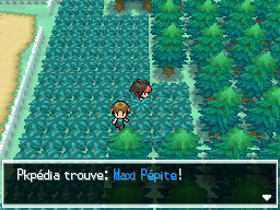 Fichier:Route 3 Maxi Pépite N2B2.png