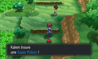 Fichier:Route 3 Super Potion XY.png