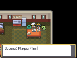 Aquaria Plaque Flam HGSS.png