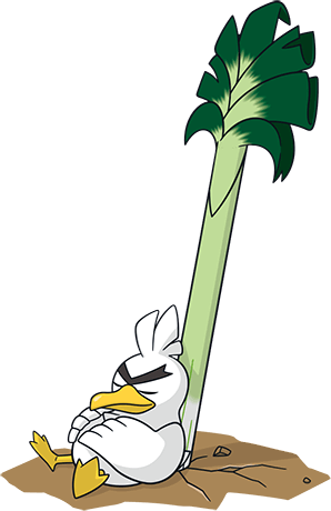 Palarticho (2)-CA.png