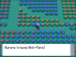 Pré Floraville Anti-Para DP.png