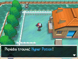 Route 6 Hyper Potion NB.png