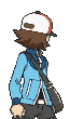 Fichier:Sprite Ludwig dos NB.png