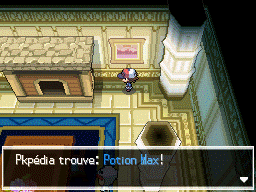 Palais de N Potion Max NB.png