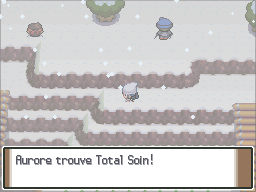 Route 216 Total Soin Pt.png