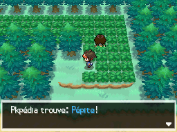 Fichier:Route 3 Pépite N2B2.png