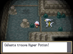 Antre Noir Hyper Potion HGSS.png
