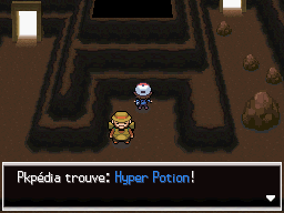 Mont Foré Hyper Potion NB.png