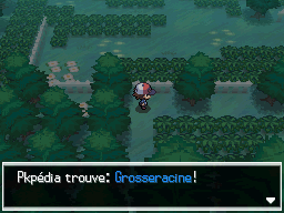 Forêt d'Empoigne Grosseracine NB.png