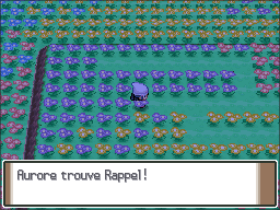 Pré Floraville Rappel Pt.png