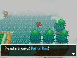 Fichier:Route 14 Potion Max N2B2.png