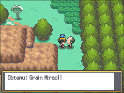 Route 32 Grain Miracl HGSS.png