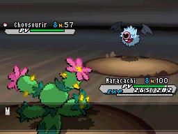 Acupression N2B2.gif