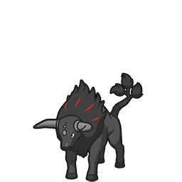 Tauros (Forme Paldea Flamboyante)