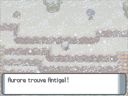 Route 216 Antigel DP.png