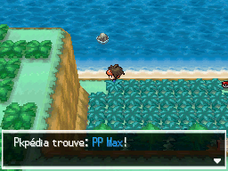 Fichier:Route 18 PP Max 2 N2B2.png
