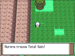 Route 210 Total Soin Pt.png