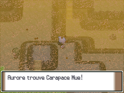 Route 228 Carapace Mue Pt.png