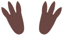 Empreintes 0020 DEPS.png