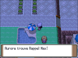 Route 213 Rappel Max 2 Pt.png