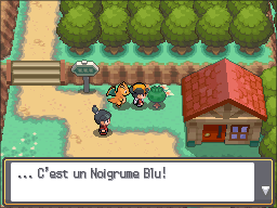 Cap ecran Noigrume Blu Route 26 HGSS.png