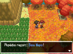 Fichier:Route 20 Baie Mepo 2 N2B2.png