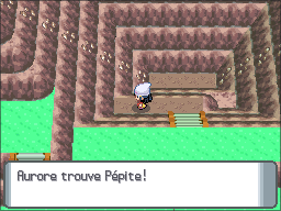 Route 210 Pépite DP.png