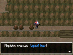 Route Victoire Rappel Max 2 NB.png