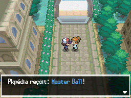 Janusia Master Ball NB.png