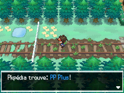 Fichier:Maillard PP Plus N2B2.png