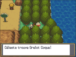 Route 32 Grelot Coque HGSS.png