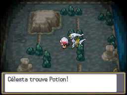 Antre Noir Potion HGSS.png
