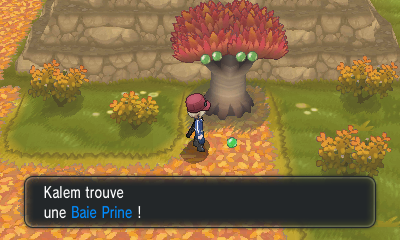 Fichier:Route 16 Baie Prine XY.png