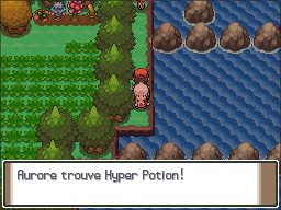 Route 218 Hyper Potion Pt.png