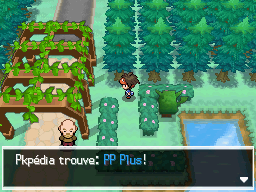 Fichier:Ogoesse PP Plus N2B2.png