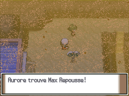 Route 228 Max Repousse Pt.png